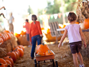 Explore the benefits of a fall festival fundraiser for your PTA.